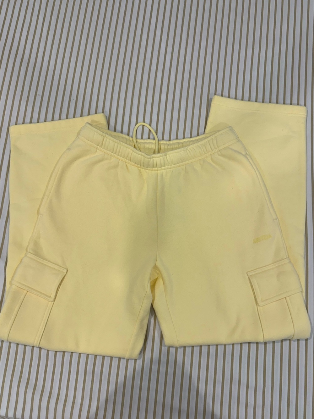 Aritzia mega cargo sweats